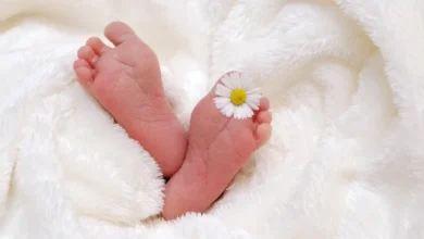 شروط نجاح الحقن المجهري